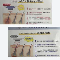 画像291